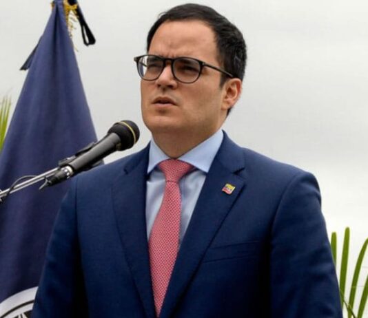 Todos los sectores de la economía están en crecimiento