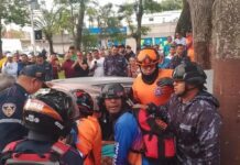 Anzoátegui| Mujer falleció tras chocar contra un árbol