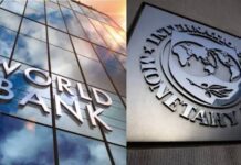 A esta cantidad Venezuela tiene acceso en el FMI