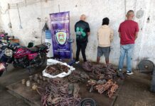 Punto Fijo| Desmantelan GEDO de material estratégico