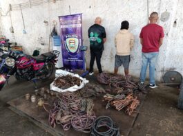 Punto Fijo| Desmantelan GEDO de material estratégico