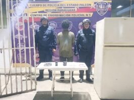 Punto Fijo| Polifalcón aprehendió a sujeto por hurto