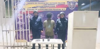 Punto Fijo| Polifalcón aprehendió a sujeto por hurto