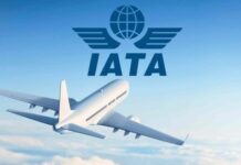 IATA: Venezuela podría volver a ser «uno de los principales hubs aéreos de la región» IATA: Venezuela podría volver a ser "uno de los principales hubs aéreos de la región"