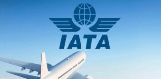 IATA: Venezuela podría volver a ser «uno de los principales hubs aéreos de la región» IATA: Venezuela podría volver a ser "uno de los principales hubs aéreos de la región"