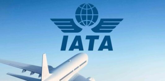 IATA: Venezuela podría volver a ser «uno de los principales hubs aéreos de la región» IATA: Venezuela podría volver a ser "uno de los principales hubs aéreos de la región"