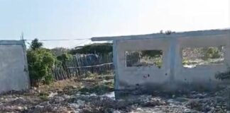 Carirubana | Video | Denuncian insalubridad por desborde de aguas negras en Bicentenario