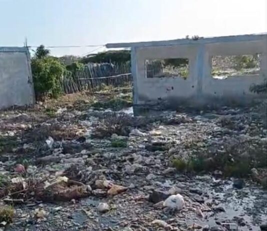 Carirubana| Vídeo| Denuncian insalubridad por desborde de aguas negras en Bicentenario
