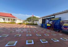 Municipio Piritu| Localizan 260 panelas de marihuana