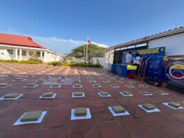 Municipio Piritu| Localizan 260 panelas de marihuana