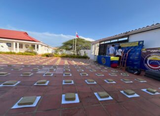 Municipio Piritu| Localizan 260 panelas de marihuana