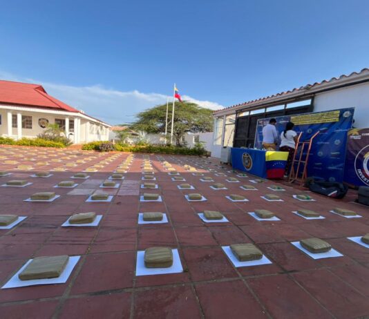 Municipio Piritu| Localizan 260 panelas de marihuana