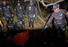 Municipio Silva| Localizan enterrados ocho kilos de marihuana