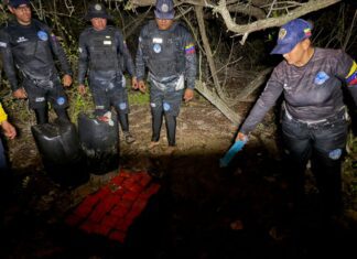 Municipio Silva| Localizan enterrados ocho kilos de marihuana