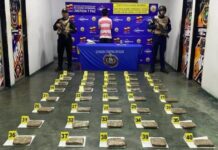 Incautan 40 kilos de marihuana en operativos desplegados en Apure y Falcón