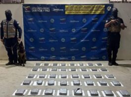 Municipio Falcón| Localizan 40 panelas de marihuana