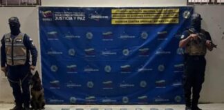 Municipio Falcón| Localizan 40 panelas de marihuana