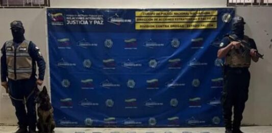 Municipio Falcón| Localizan 40 panelas de marihuana