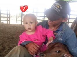 Municipio Mauroa| Niña de un año falleció tras caerle una pared encima