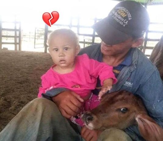 Municipio Mauroa| Niña de un año falleció tras caerle una pared encima