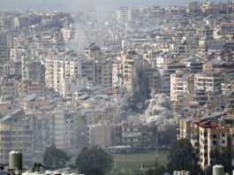 ONU: Guerra en el Líbano puede generar una grave crisis alimentaria ONU: Guerra en el Líbano puede generar una grave crisis alimentaria