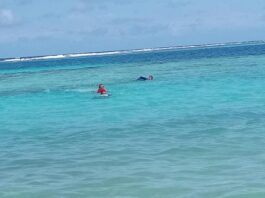 Municipio Silva| Realizan rescate acuático en Cayo Sombrero