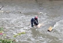 Caracas| recuperan el cuerpo de una mujer en el río Guaire