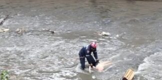 Caracas| recuperan el cuerpo de una mujer en el río Guaire