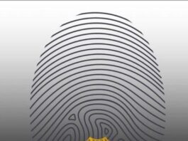 Anzoátegui| Detenida por trato cruel