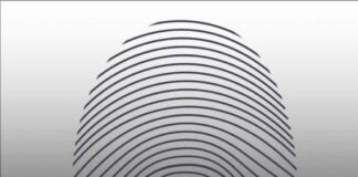 Anzoátegui| Detenida por trato cruel