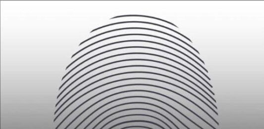 Anzoátegui| Detenida por trato cruel