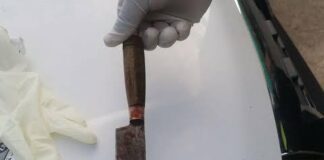 Venezolana asesina a su pareja y se da a la fuga