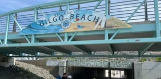 Arrestan a venezolano por macabro crimen en playa de Nueva York Arrestan a venezolano por macabro crimen en playa de Nueva York