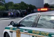 EEUU | Azafata fingió ser policía para intimidar a sus vecinos EEUU | Azafata fingió ser policía para intimidar a sus vecinos