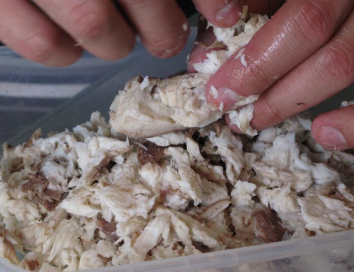 cazón-venezolanos-tiburón Por esta razón científicos piden a los venezolanos no comer cazón