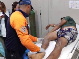 Mauroa| Joven sufrió doble fractura tras caerse de un burro