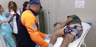 Mauroa| Joven sufrió doble fractura tras caerse de un burro