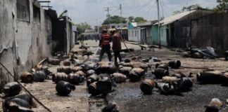 Cojedes|Más de 150 cilindros de gas explotaron en San Carlos