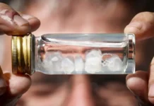 ¿Cuál es la picadura más dolorosa del mundo? ¿Cuál es la picadura más dolorosa del mundo?