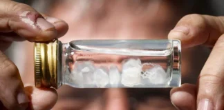 ¿Cuál es la picadura más dolorosa del mundo? ¿Cuál es la picadura más dolorosa del mundo?