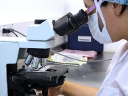 81% de los laboratorios públicos de bioanálisis están inoperativos 81% de los laboratorios públicos de bioanálisis están inoperativos