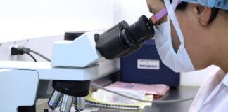 81% de los laboratorios públicos de bioanálisis están inoperativos 81% de los laboratorios públicos de bioanálisis están inoperativos