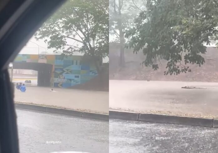 lluvias-venezuela-inundaciones--1280x900 Lluvias causan inundaciones y fallas de servicios en varias regiones