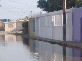 Punto Fijo| Desborde de aguas negras afectan a residentes del Antonio José de Sucre