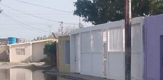 Punto Fijo| Desborde de aguas negras afectan a residentes del Antonio José de Sucre