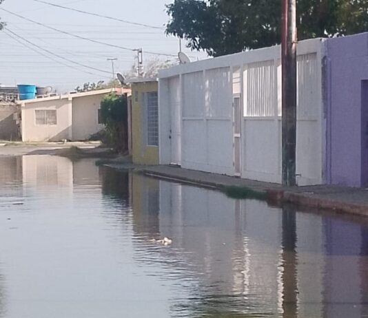 Punto Fijo| Desborde de aguas negras afectan a residentes del Antonio José de Sucre
