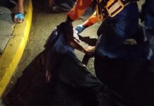 Carirubana| Arrollado hombre en el centro de Punto Fijo