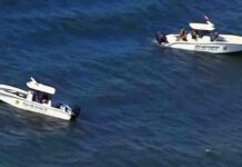 Florida| Rescatan a 10 pasajeros tras caída de avioneta