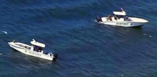 Florida| Rescatan a 10 pasajeros tras caída de avioneta