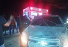 Municipio Falcón| Vídeo| Esquivó una vaca y chocó con un cují